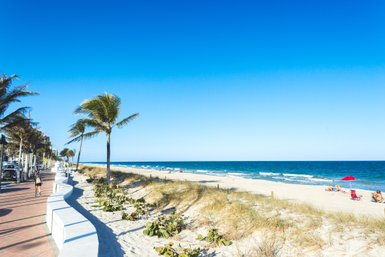Ein sonniger Strand in Fort Lauderdale mit Palmen, einem klaren blauen Himmel und Menschen, die sich am Wasser entspannen.