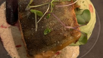 Ein kunstvoll angerichteter Teller mit gebratenem Fisch, umgeben von einer cremigen Sauce und frischen Kräutern.