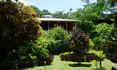 Ein modernes Haus mit roter Fassade, umgeben von üppigem, grünem Garten und tropischen Pflanzen in Panama.