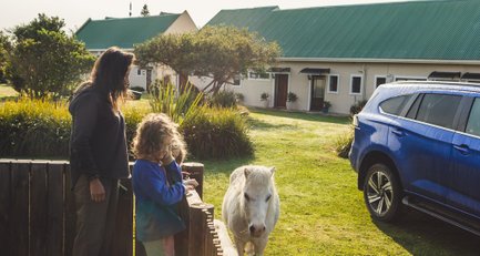 Junge mitPony bei T Niqua Stable Inn in Plettenberg Bay – Südafrika mit Kindern