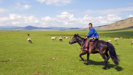 Ein fröhlicher Junge reitet auf einem schwarzen Pferd über die weite, grüne Steppe der Mongolei, umgeben von Schafen.