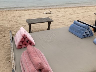 Ein ruhiger Strand mit einem Liegestuhl, auf dem gestapelte Kissen in Rosa und Blau liegen, während ein Hund entspannt im Sand liegt.
