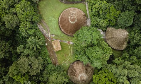 Eine Vogelperspektive zeigt eine üppige Landschaft mit runden Hütten, umgeben von dichtem, grünen Regenwald.