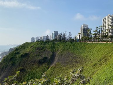 Eine grüne Klippe in Lima, Peru, mit modernen Gebäuden und Palmen im Hintergrund, unter einem klaren blauen Himmel.