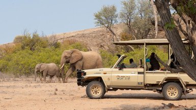 Ein Safarijeep steht direkt neben einem Elefanten - Namibia Urlaub mit Kindern
