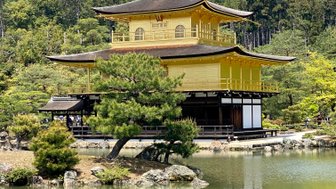 Der goldene Tempel in Kyoto spiegelt sich majestätisch im ruhigen Wasser eines Teiches, umgeben von üppigem Grün.