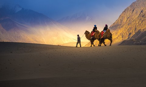 Ein Kamelritt durch die Wüste, während die Sonne hinter den Bergen untergeht und die Landschaft in warmes Licht taucht.