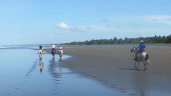 Vier Reiter auf Pferden genießen einen ruhigen Ritt entlang des Strandes, während das Wasser sanft reflektiert.