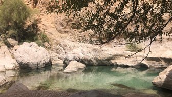 Ein ruhiger Wasserpool umgeben von großen Felsen und sanften, grünen Pflanzen in einer sonnigen Schlucht.