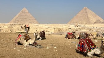 Kamele sitzen vor den Pyramiden von Gizeh in Kairo – Ägypten Reise mit Kindern