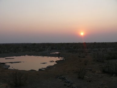 Die Sonne verschwindet hinter dem Horizont am Moringa Wasserloch - Namibia mit Kindern