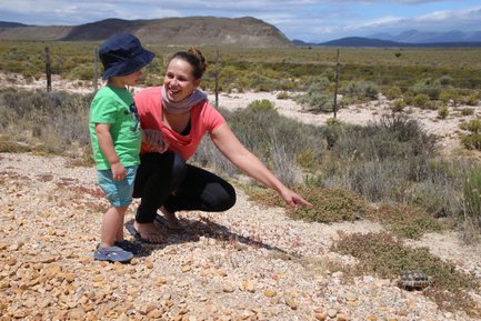 Eine Mutter zeigt auf eine Schildkröte und zeigt sie ihrem Sohn – Südafrika Reise mit Kindern