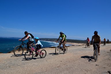 Eine Gruppe von Radfahrern genießt eine sonnige Tour entlang der Küste, mit dem Ozean im Hintergrund und klarem Himmel.