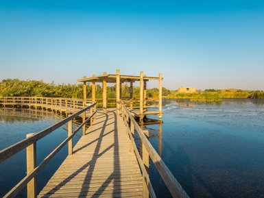Stege im Feuchtgebiet - Jordanien Familienurlaub