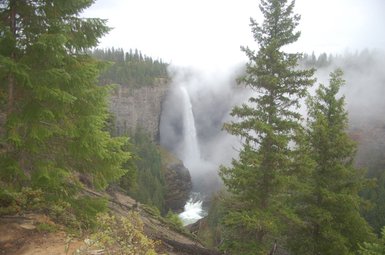 Ein majestätischer Wasserfall stürzt kräftig in eine tiefe Schlucht, umgeben von üppigen Nadelbäumen und sanften Nebelschwaden.