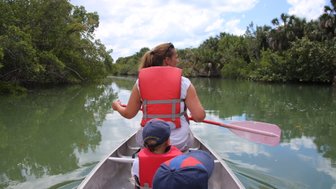 Eine Frau paddelt in einem Kanu durch ruhiges Wasser, umgeben von üppigem Grün und einem klaren Himmel.