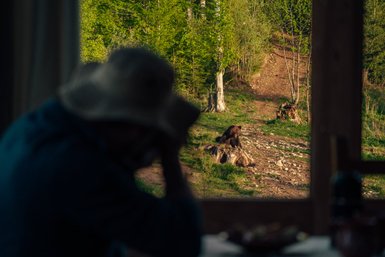 Ein nachdenklicher Mann in einem Hut blickt hinaus auf einen Bären, der auf einem Baumstumpf sitzt und die Umgebung erkundet.
