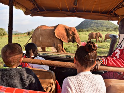 Elefant vor Jeep mit Kids in Kenia - Kenia Safari für Familien