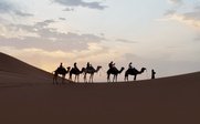 Sechs Kamele mit Reitern ziehen durch die sanften Dünen, während die Sonne hinter den Wolken untergeht.