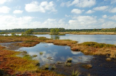Ein ruhiger Wasserlauf spiegelt die Wolken und die umgebende Natur im Soomaa Nationalpark wider.