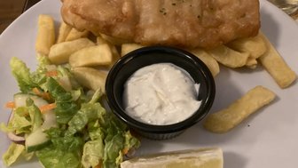 Ein Teller mit knusprigem Fischfilet, goldenen Pommes frites und frischem Salat, garniert mit einer Zitronenscheibe.
