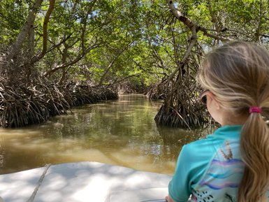 Mädchen genießt eine Bootstour durch das Mangrovengebiet von Celestún – Mexiko Familienreise