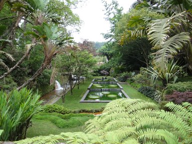 Ein üppiger Garten mit grünen Pflanzen, einem kleinen Wasserfall und einem ruhigen Teich, umgeben von Bäumen und Sträuchern.