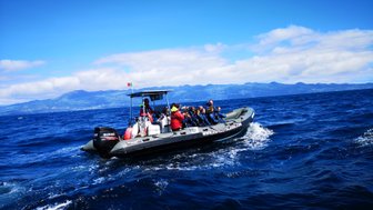 Eine Gruppe von Menschen sitzt in einem Schnellboot, das über das blaue Wasser fährt, umgeben von Bergen im Hintergrund.