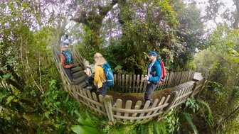 Familie spaziert auf einem Holzpfad durch den Mossy Forest in den Cameron Highlands – Malaysia & Borneo Reise mit Kindern