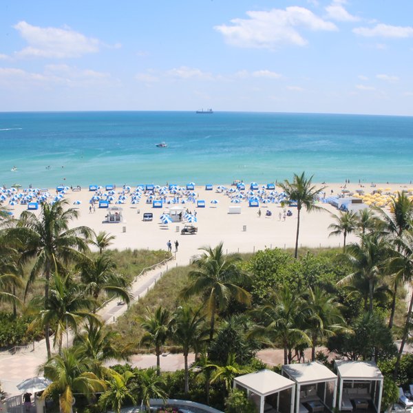 Ein sonniger Strand mit blauen und weißen Sonnenschirmen, umgeben von Palmen und einem klaren, türkisfarbenen Wasser.