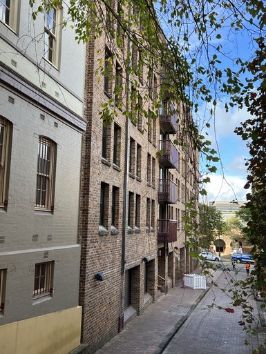 Eine schmale Gasse mit Backsteingebäuden, in der Bäume sanft über die Ziegelmauern hängen.