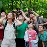 Familien beobachten aufmerksam die Tierwelt mit Ferngläsern im Regenwald – Costa Rica Familienreise