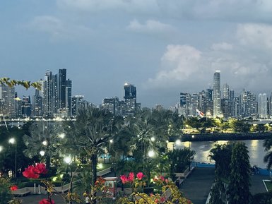 Im Hintergrund erheben sich beeindruckende Hochhäuser einer modernen Stadt unter einem bewölkten Himmel.