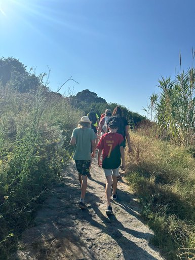 Eine Gruppe von Wanderern geht einen schmalen Pfad entlang, umgeben von üppigem Grün und strahlendem Sonnenlicht.