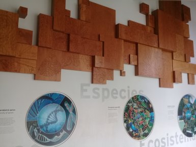 Eine Wand mit kunstvollen Holzpaneelen zeigt verschiedene Tier- und Pflanzenmuster, die die Biodiversität darstellen.