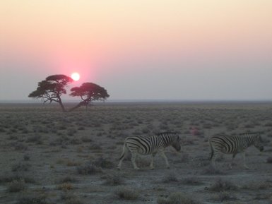 Die Sonne verschwindet am Horizont der Savanne - Namibia mit Kindern