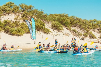 Eine Gruppe von Kajakfahrern paddelt fröhlich auf klarem Wasser, umgeben von einer sonnigen Küstenlandschaft.