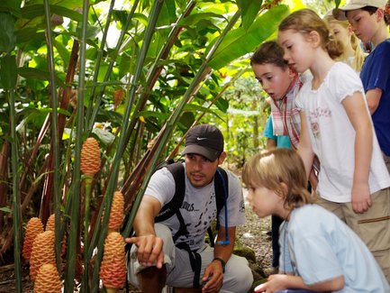Reiseleiter zeigt Kindern Pflanzen und Tiere während einer Wanderung im Regenwald – Costa Rica mit Kindern