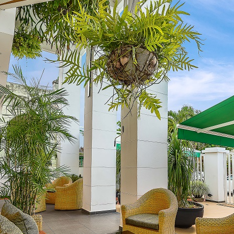 Eine entspannte Terrasse mit gemütlichen Rattanmöbeln und üppigen Pflanzen, die eine einladende Atmosphäre schaffen.