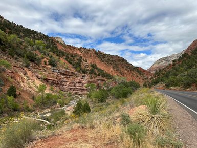 Eine kurvenreiche Straße führt durch die beeindruckenden roten Felsen des Zion-Nationalparks, umgeben von üppigem Grün.