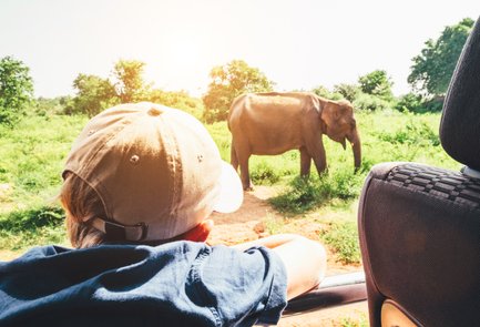 Junge blickt gespannt aus dem Safari-Jeep auf einen Elefanten im Udawalawe Nationalpark – Sri Lanka mit Kindern