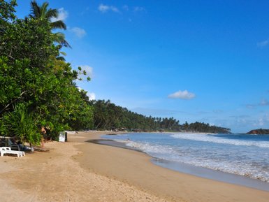 Palmen säumen den feinsandigen Strand vor dem Mirissa Beach Inn – Sri Lanka Reise mit Kindern