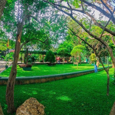 Sri Lanka Familienreise mit Kindern - Udawalawe - Centauria Wild - Garten