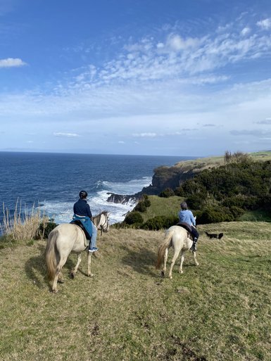 Zwei Reiter auf weißen Pferden genießen die Aussicht auf die raue Küste und das glitzernde blaue Wasser des Ozeans.