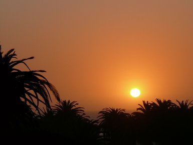 Sonnenuntergang mit Palmen - Namibia Familienurlaub