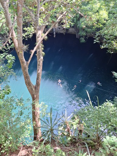 Ein klarer, blauer Cenote umgeben von üppigem Grün, mit Schwimmern, die im Wasser entspannen und die Natur genießen.