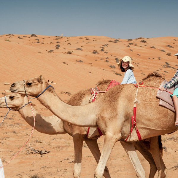 Kinder reiten gemeinsam mit einem Einheimischen auf Kamelen – Oman Reise mit Kindern