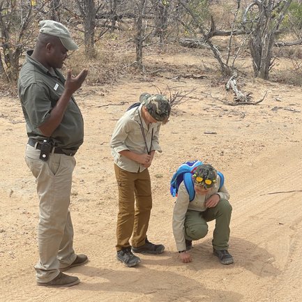 Kinder berühren gemeinsam mit einem Guide den Sand und entdecken Tierspuren im Kruger Nationalpark – Südafrika Reise mit Kindern