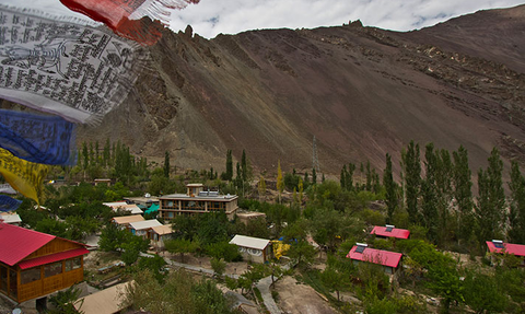 Bunte Gebetsfahnen wehen über einem malerischen Resort in Ladakh, umgeben von grünen Bäumen und majestätischen Bergen.