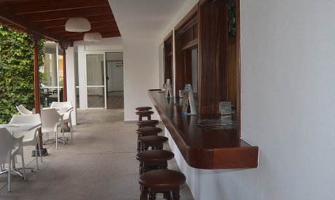 Ein eleganter Barbereich mit Holztheke und Stühlen, umgeben von Pflanzen und einem hellen, einladenden Ambiente.